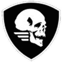 Flag Of Skull